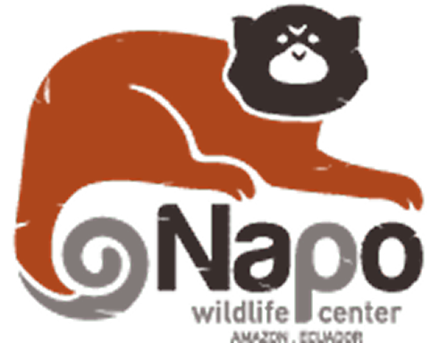 napowc Logo